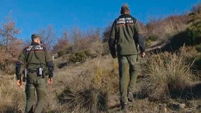 Los agentes forestales tramitaron 26 denuncias por caza ilegal en la Comunidad
