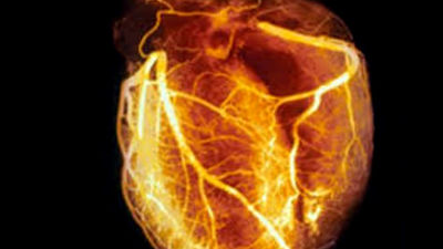 La Complutense descubre nuevas pistas sobre la actividad eléctrica del corazón