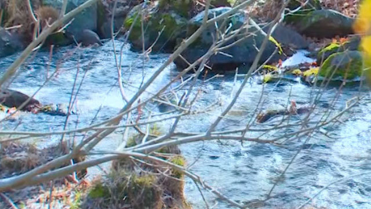 Horcajo de la Sierra: Un entorno natural con multitud de sendas y arroyos