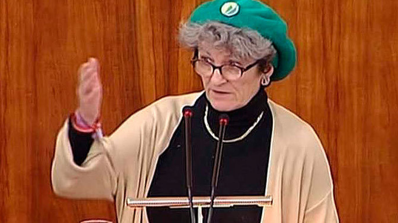 La diputada de Podemos en la Asamblea Cecilia  Salazar renuncia a su acta por "motivos personales"