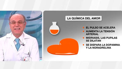 La química del amor