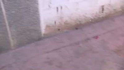 Aquí en Madrid 21.02.2017