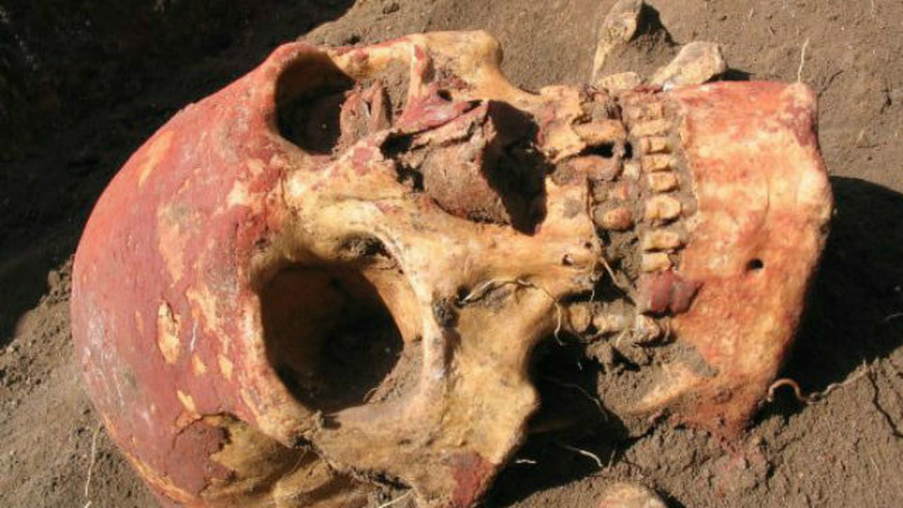 Antiguas calaveras sugieren múltiples  migraciones a las Américas