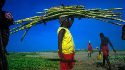 Tino Soriano pone 'Color a la Vida'