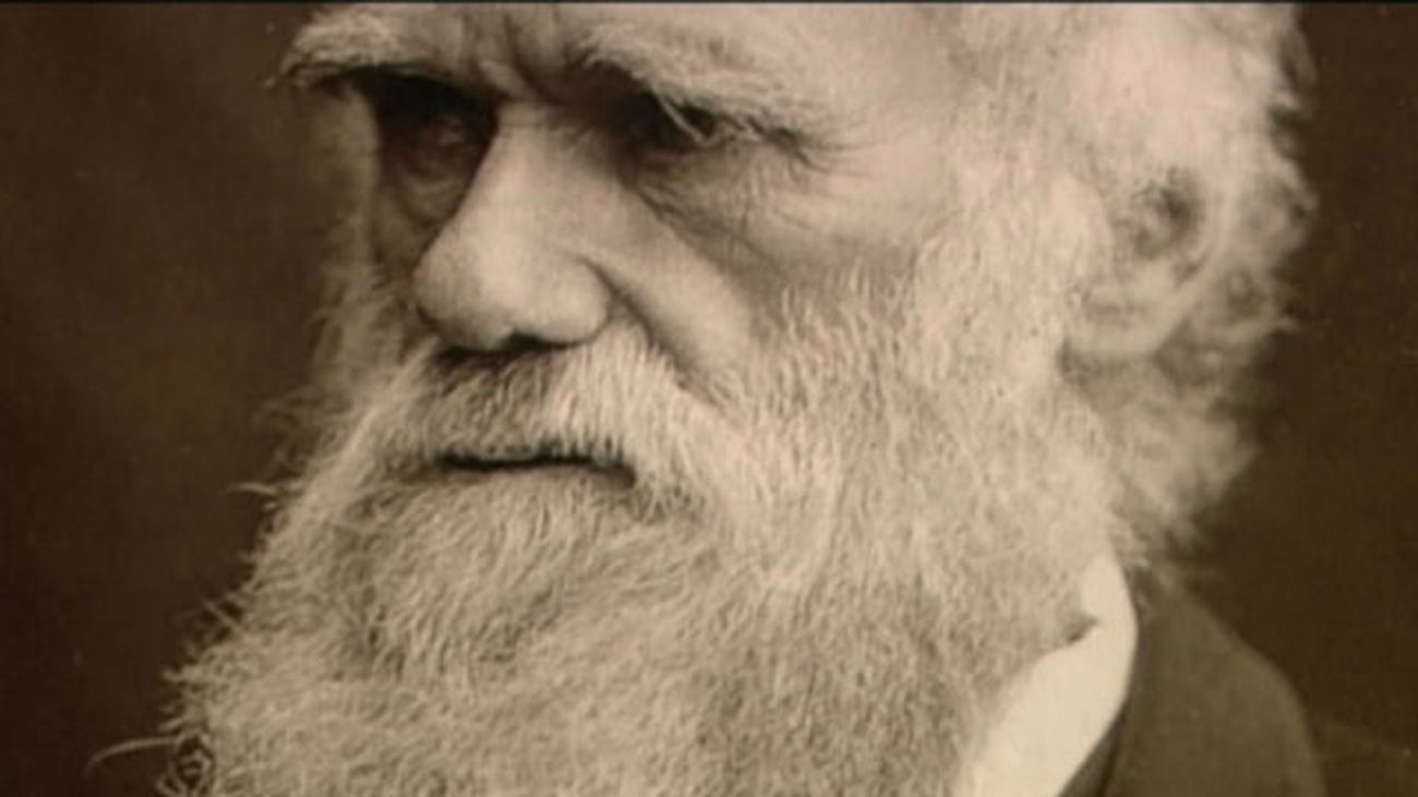 Darwin acertó hace más de 150 años con sus teorías de los ‘fósiles vivientes’