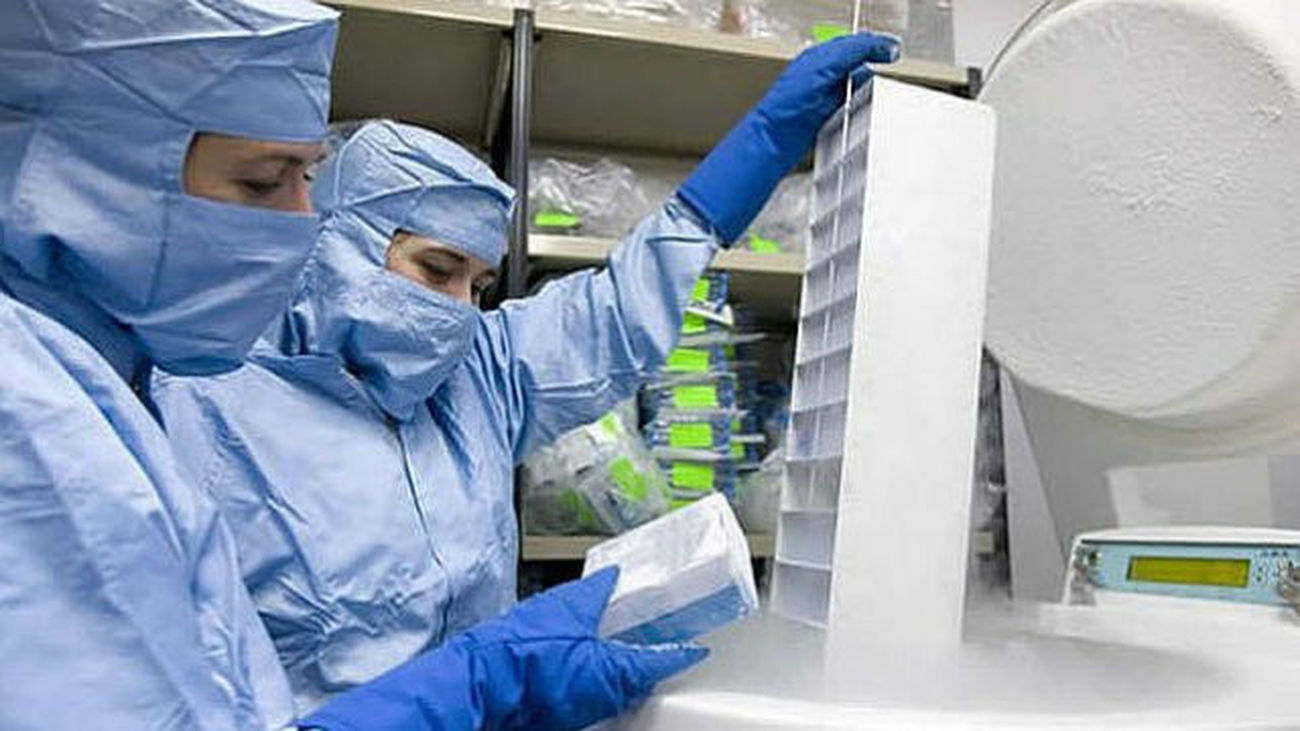 Nanopartículas podrían ayudar a la crioconservación de órganos para trasplantes