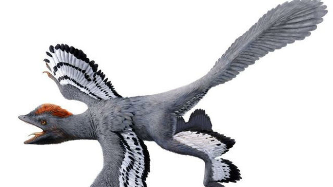 Una técnica láser ofrece la mejor  reconstrucción de un dinosaurio