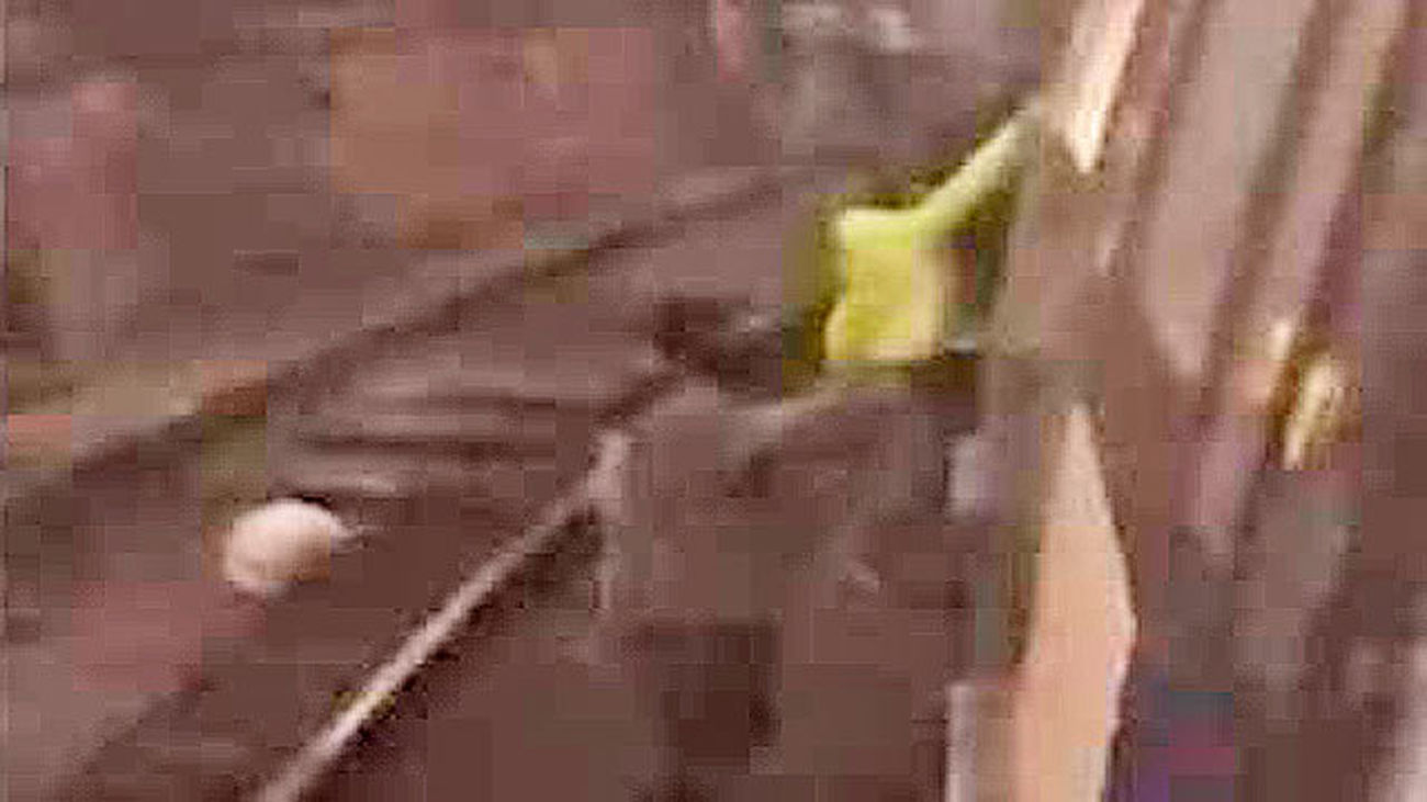 Paran la línea 6 del Metro para hacer un grafitti