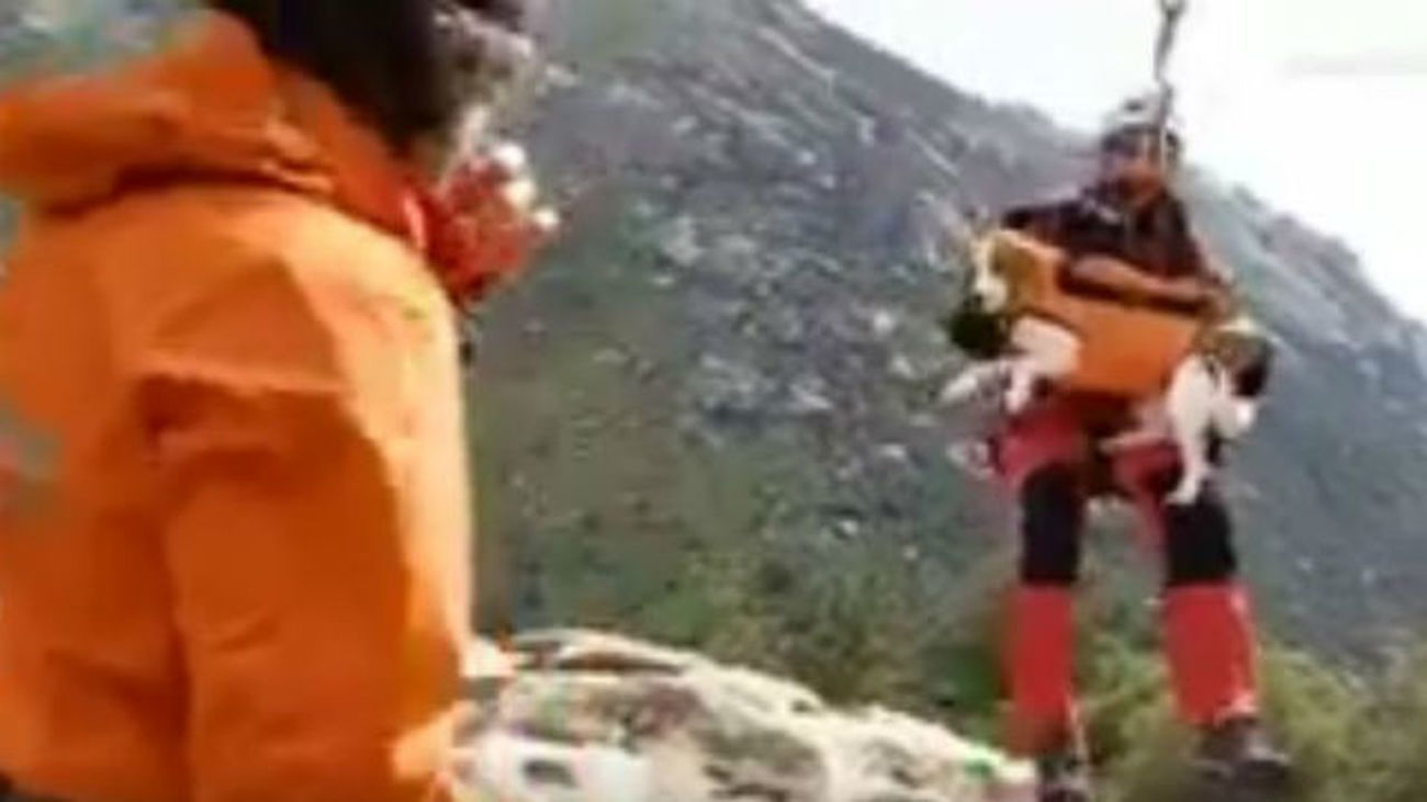 Rescatan en La Pedriza a una mujer que se había perdido con su perra