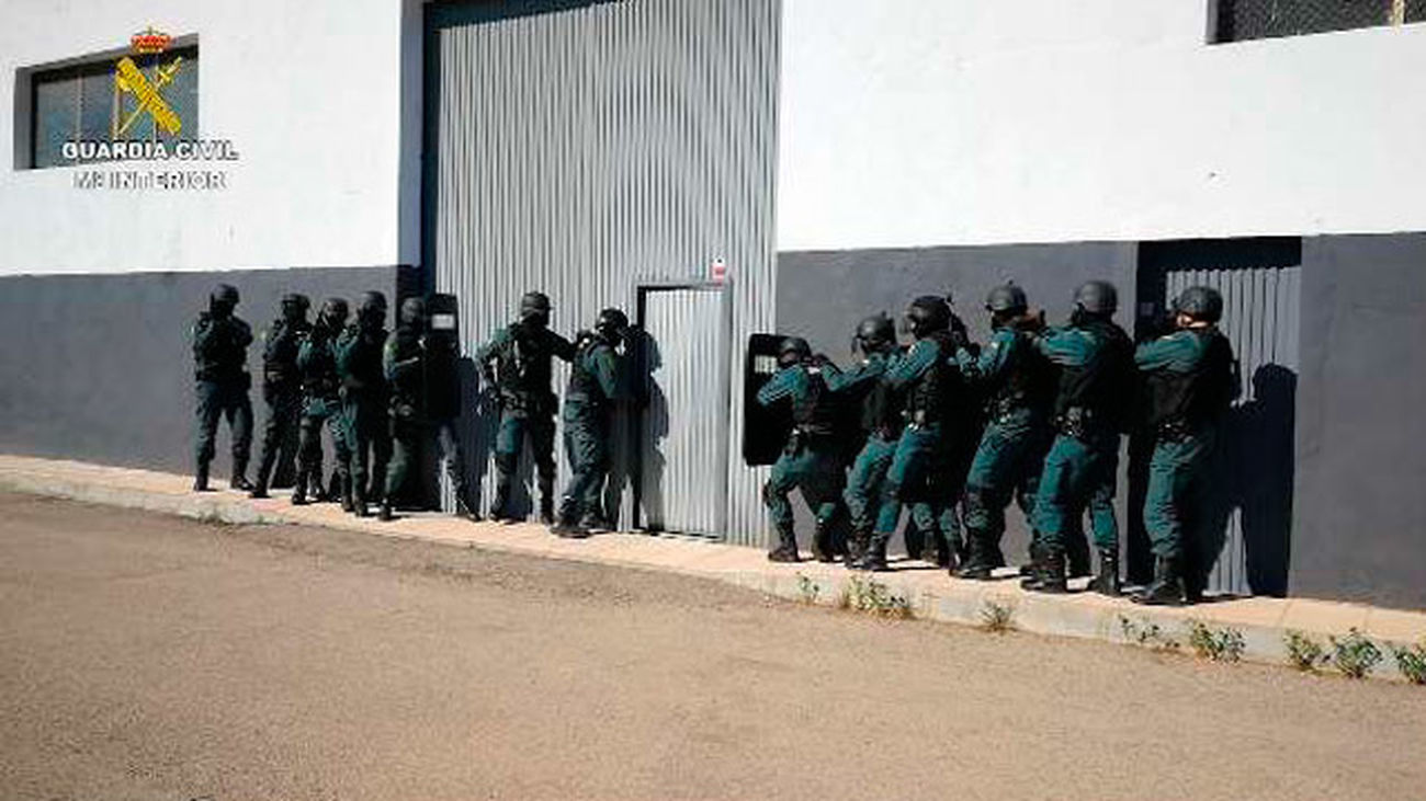 La Guardia Civil desarticula en Alicante un entramado empresarial dedicado al cultivo y tráfico de drogas