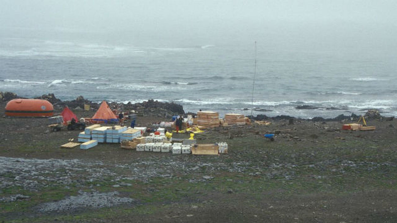 Cabo Shirreff, un oasis para la fauna antártica que cautiva a los científicos
