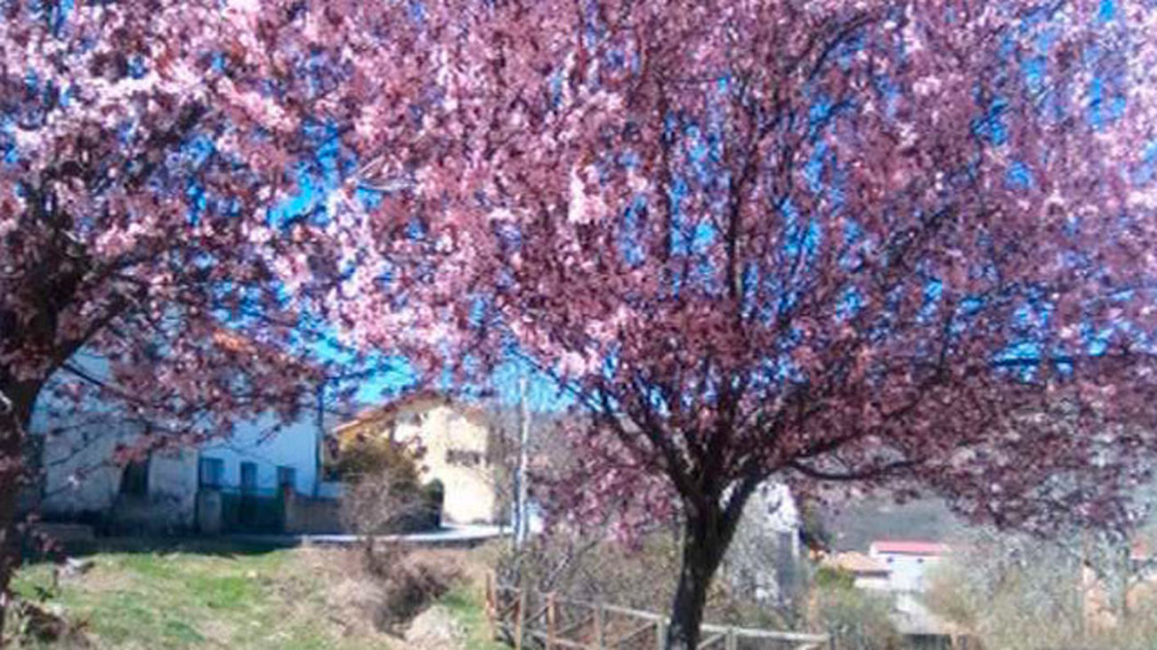 La primavera será seca y más cálida de lo normal