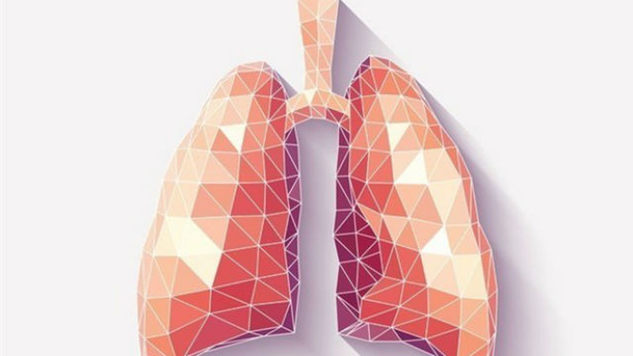 Hallan un nuevo cometido de los pulmones: fabricar sangre