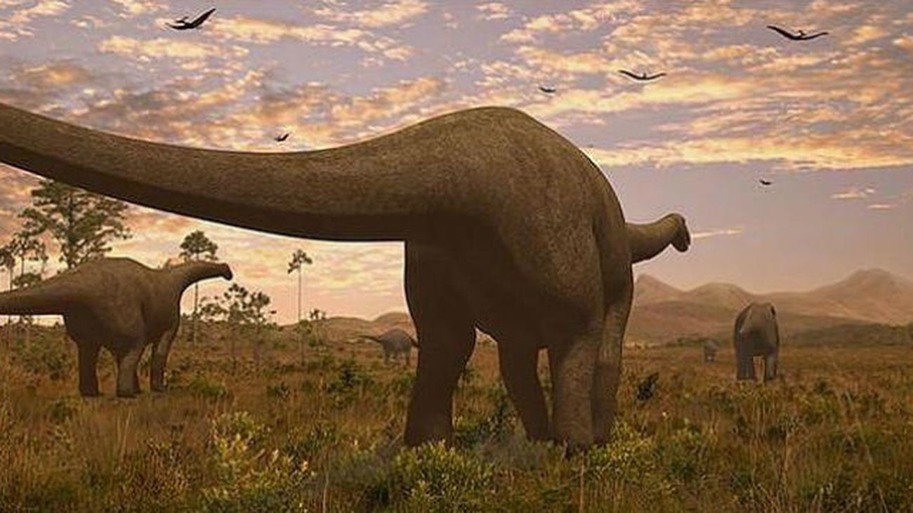 Un nuevo estudio rediseña el árbol  genealógico de los dinosaurios