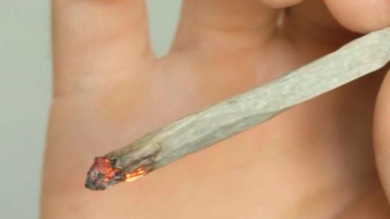 ¿Está de acuerdo en que se despenalice totalmente la marihuana como el tabaco?