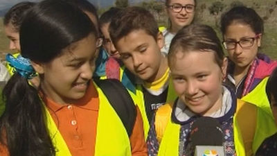 Pastoreo en Colmenar Viejo
