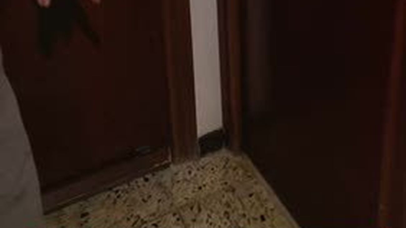 Aquí en Madrid 31.03.2017