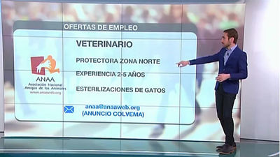 Encuentra trabajo en Madrid