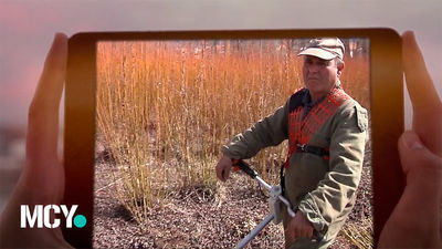 Mi cámara y yo: Oficios en extinción