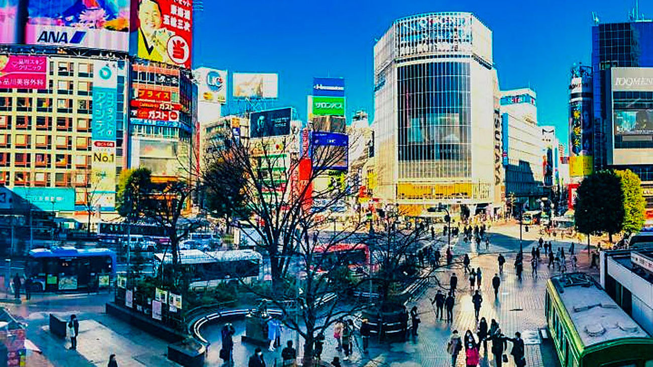 Japón, vida frenética entre rascacielos, calma en los templos