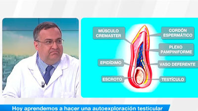 Aprender a realizar una exploración testicular