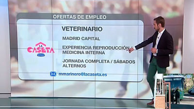 Se buscan administrativos, veterinarios...