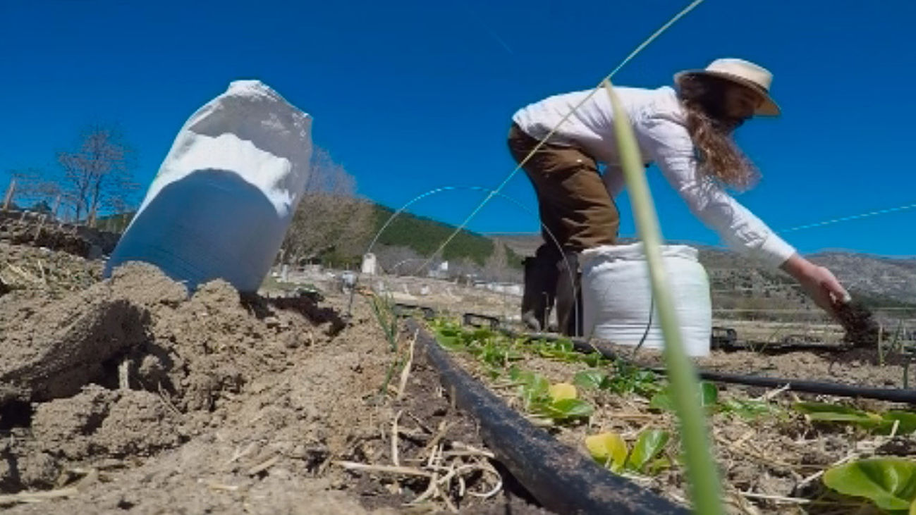 Reporteros 360: ¿Somos ecológicos?