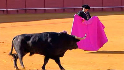 Oreja al valor y a la pureza de Paco Ureña en Las Ventas