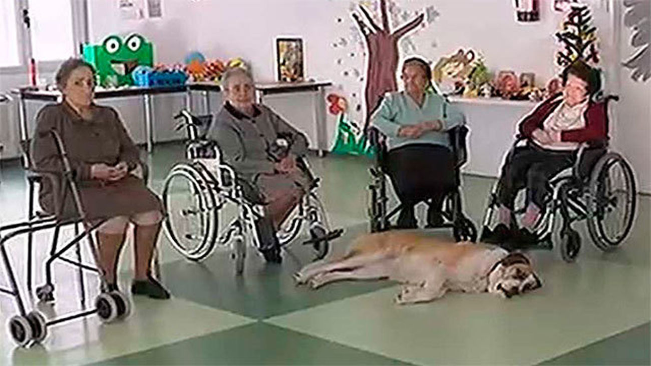 La Comunidad destina 27,5 millones de euros para servicios sociales de la región