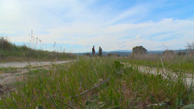 La dehesa, el tesoro de Villanueva de Perales