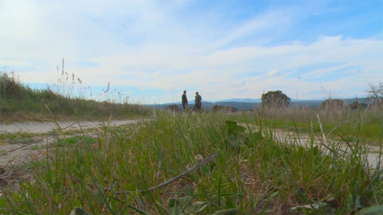 La dehesa, el tesoro de Villanueva de Perales