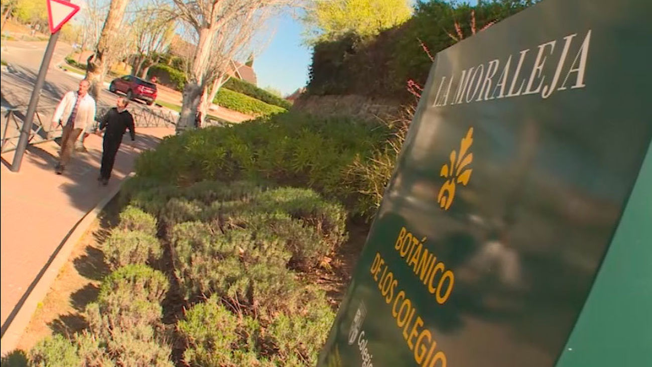 La Moraleja, el barrio más caro de Alcobendas