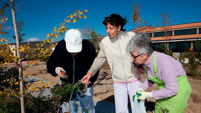 Un proyecto joven hecho por mayores