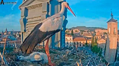 Rescate en Alcalá de Henares