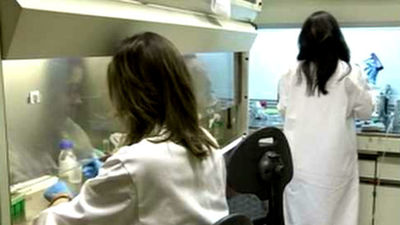 Investigadores norteamericanos logran crear en laboratorio células madre de la sangre