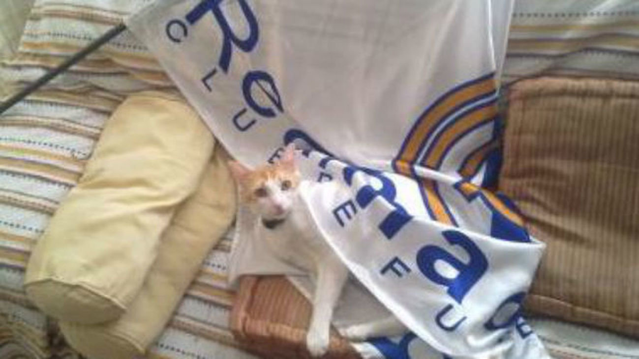 Siete maneras 'bestias' de celebrar la victoria del Madrid