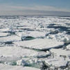 Meteorólogos confirman que el Ártico alcanzó una temperatura récord de 38 grados