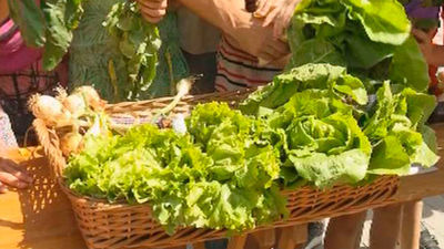 Los huertos escolares de Madrid están de fiesta