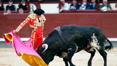 19ª de feria: Novillada aburrida de astados sosos