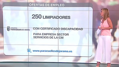Se necesitan 250 limpiadores