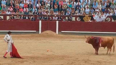 Premios taurinos de Telemadrid: Juan del Álamo, mejor torero y Hebreo de Jandilla, mejor toro