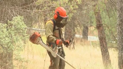 Desbrozan los montes en la Comunidad de Madrid para evitar incendios
