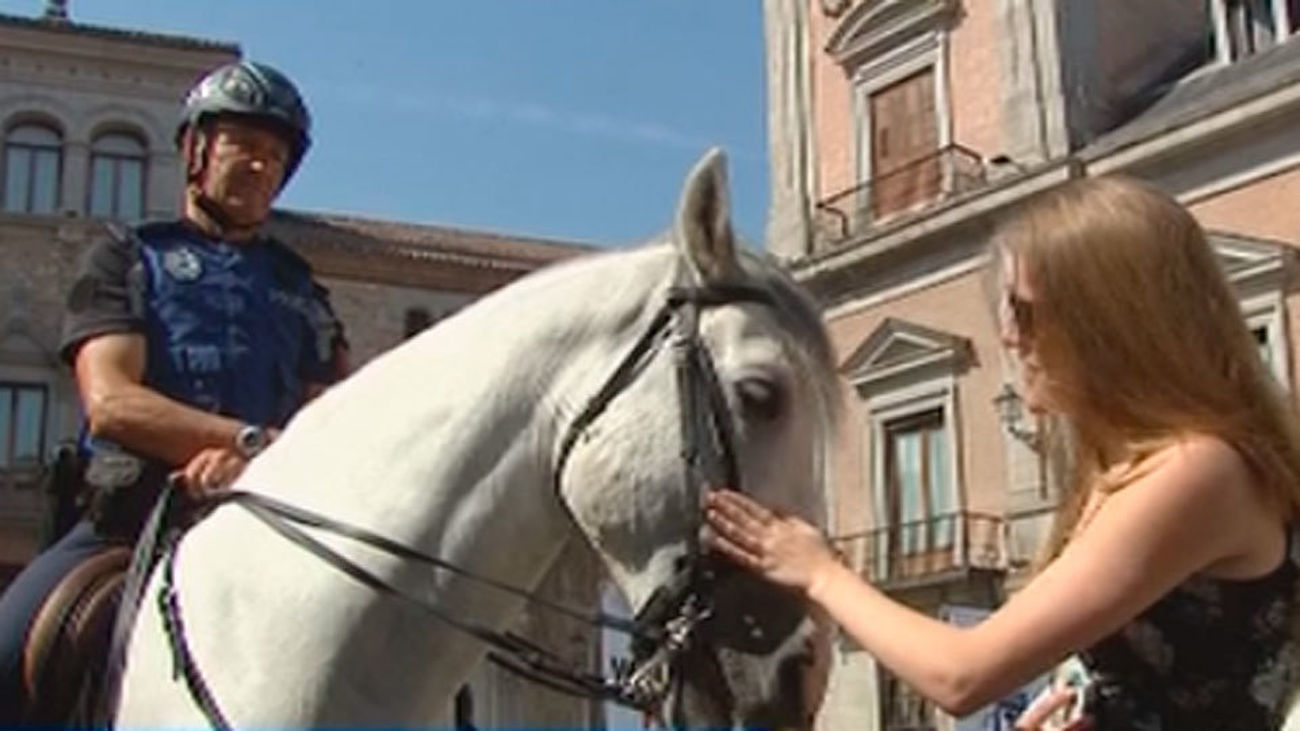 La Policía Municipal abre sus puertas a la ciudadanía en la Plaza de la Villa