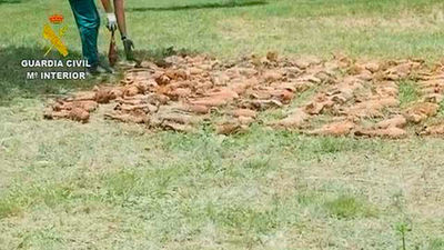 La Guardia Civil encuentra un arsenal de la Guerra Civil en un acuífero de Teruel