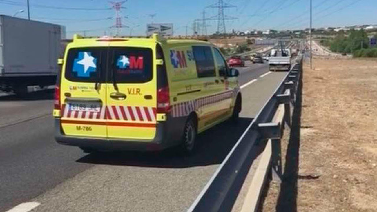Muere atropellado un guardia civil en la autovía A-1