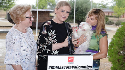 Cifuentes presenta una campaña para evitar abandonos de animales en verano