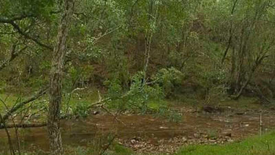 El Hayedo de Montejo, declarado Patrimonio Mundial por la UNESCO