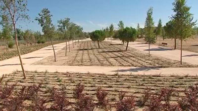 La Cuña Verde de O'Donnell contará con 700 árboles más y un circuito de bicis