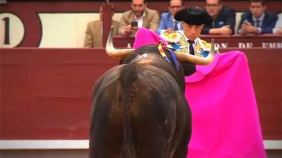 Toros desde Manzanares