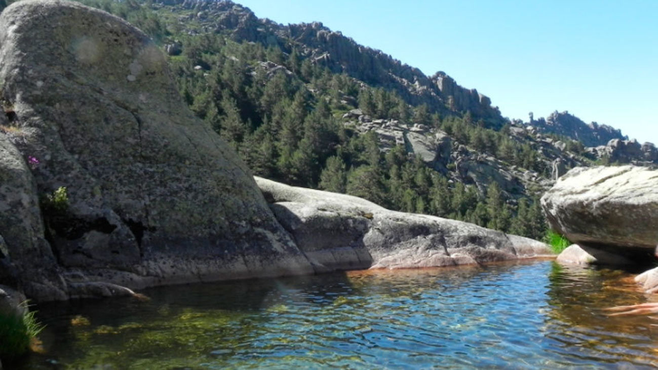 Advierten de la presencia de bacterias tóxicas en La Pedriza
